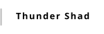Thunder Shad